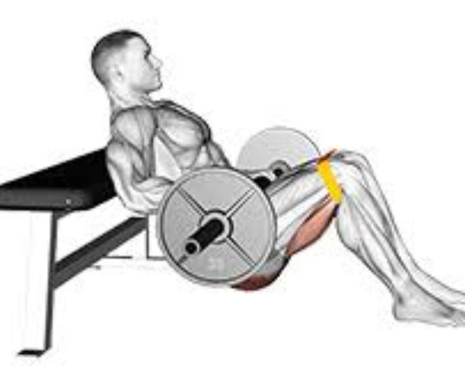 Barbell Hip Thrusts: The Glute-Building Powerhouse