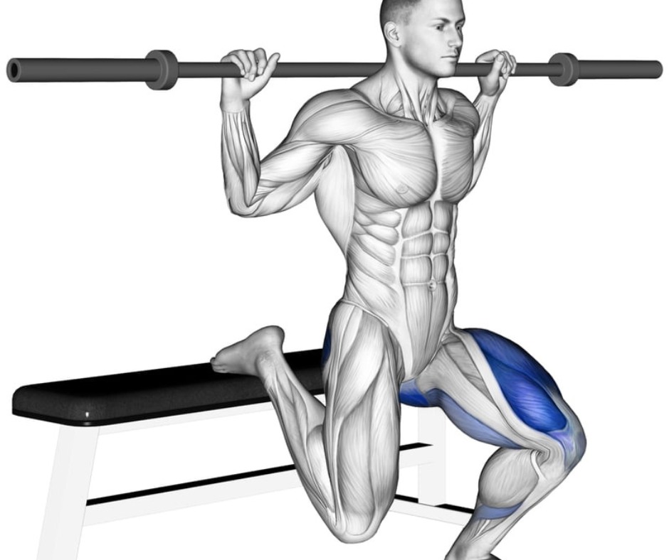 Bulgarian Split Squats: The Quad-Glute Combo