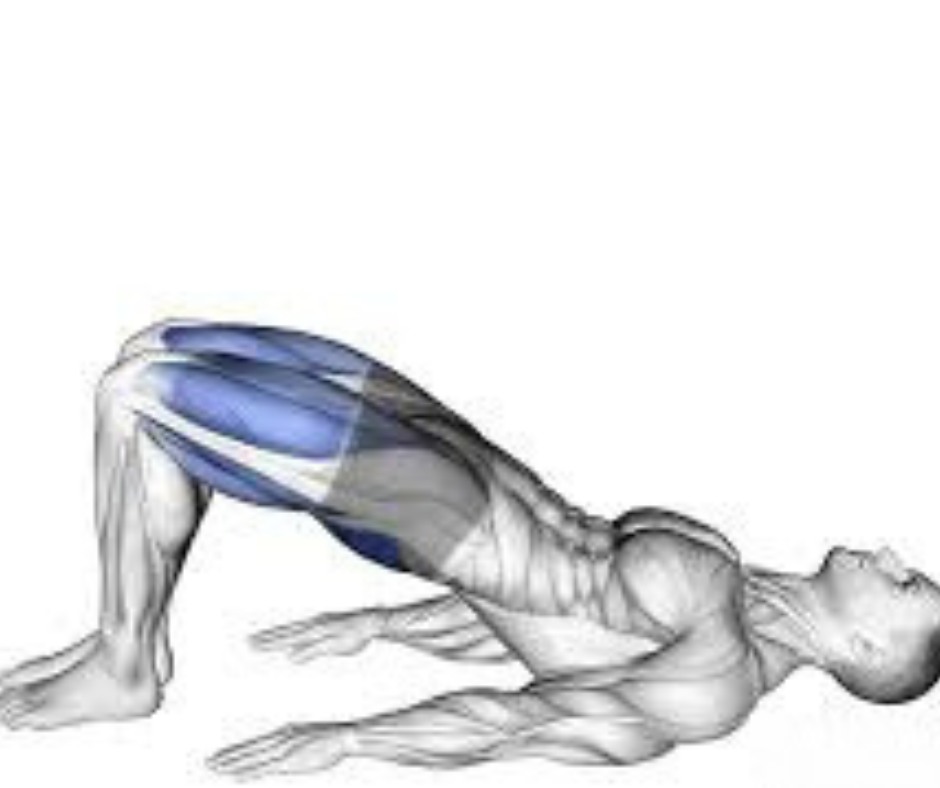 Glute Bridges: Activation and Endurance