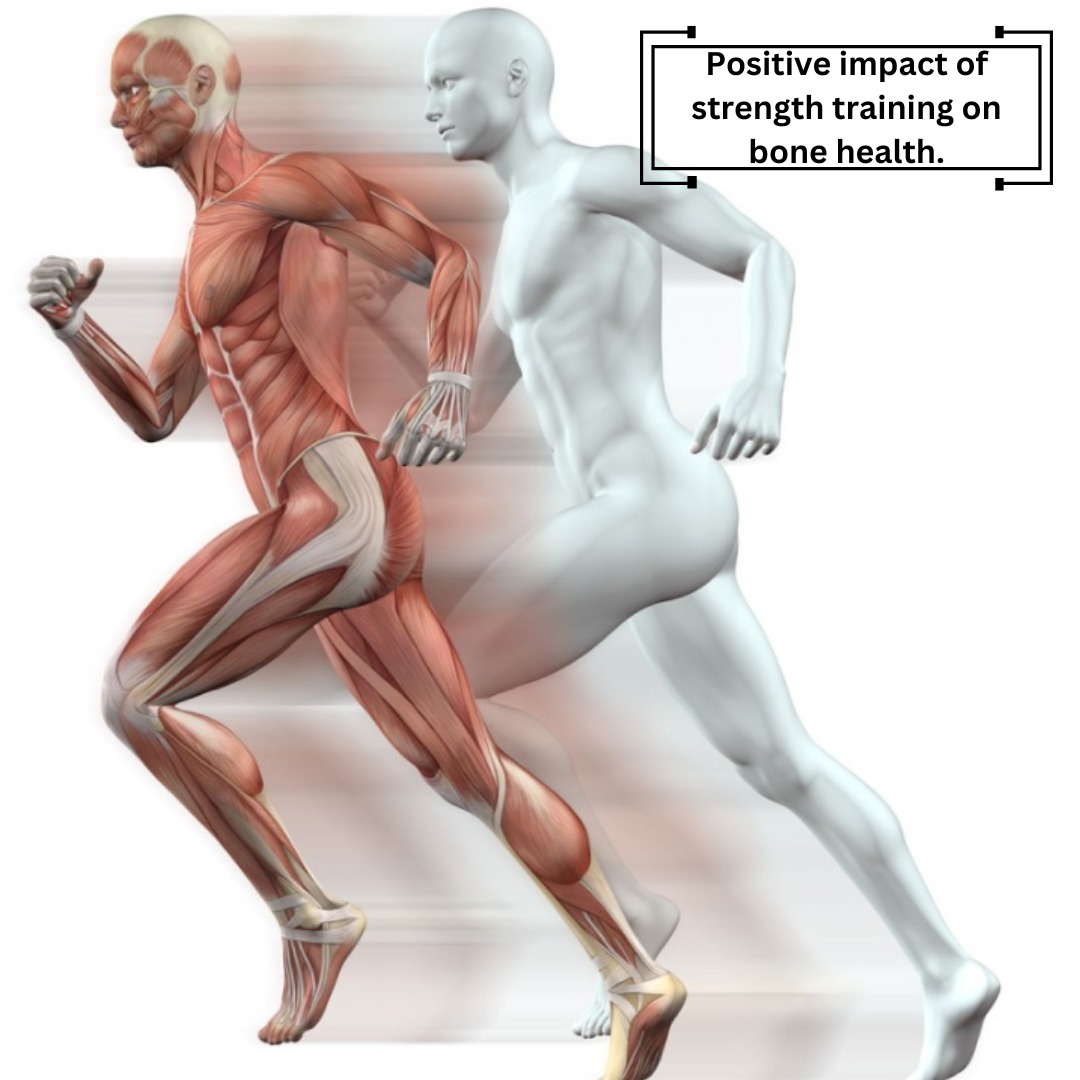 A comparison image showing before-and-after bone density scans, illustrating the positive impact of strength training on bone health.