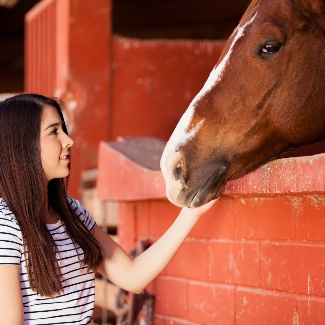 Individual engaging in equine therapy by brushing a horse in a tranquil pasture.