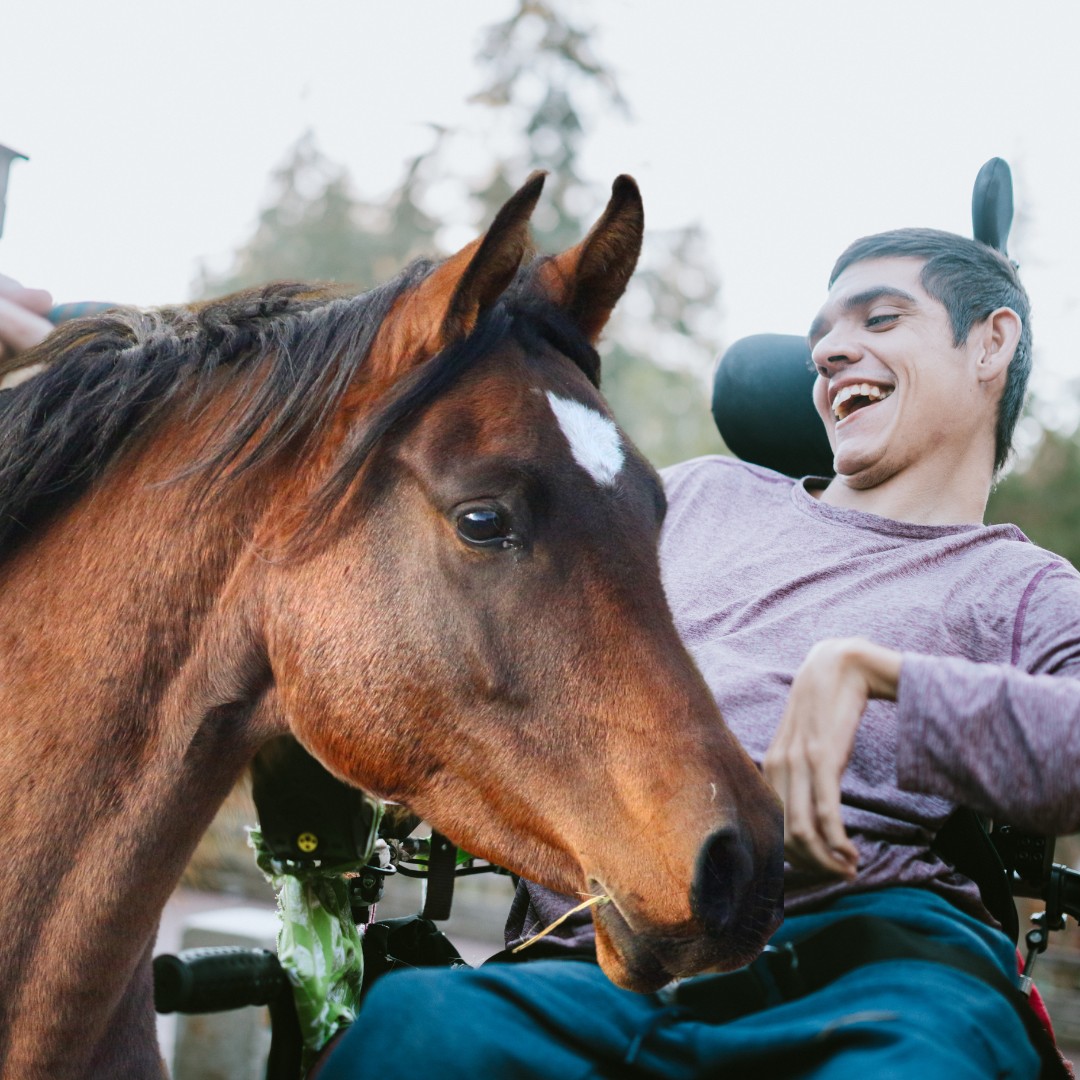 Child with autism interacting with a horse during an equine therapy session