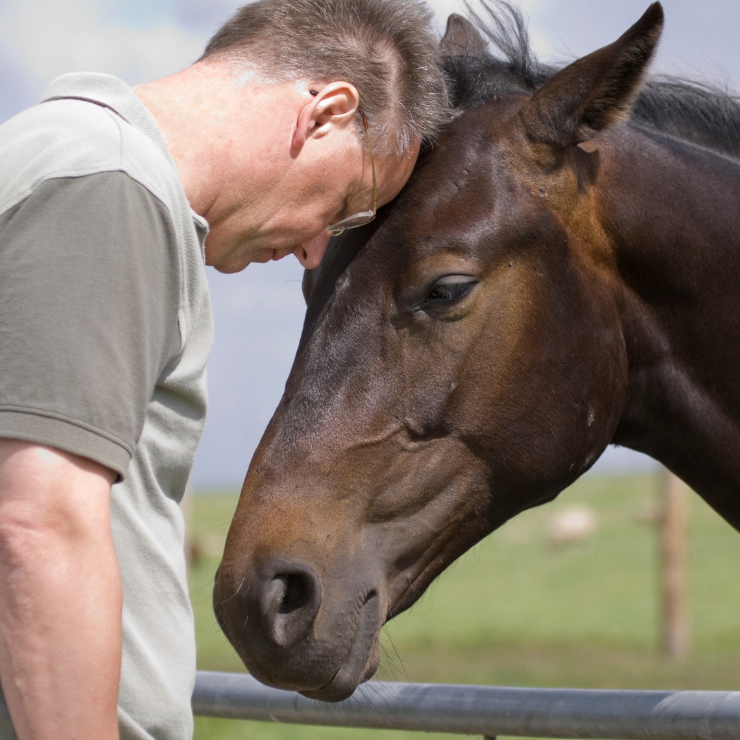 A person participating equine therapy for recovery