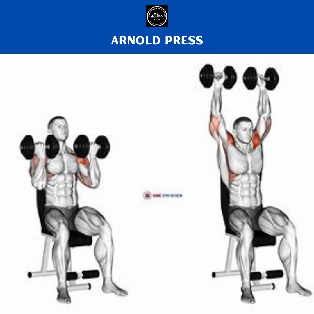 Arnold Press A person performing an arnold press, highlighting shoulder strength and development.
