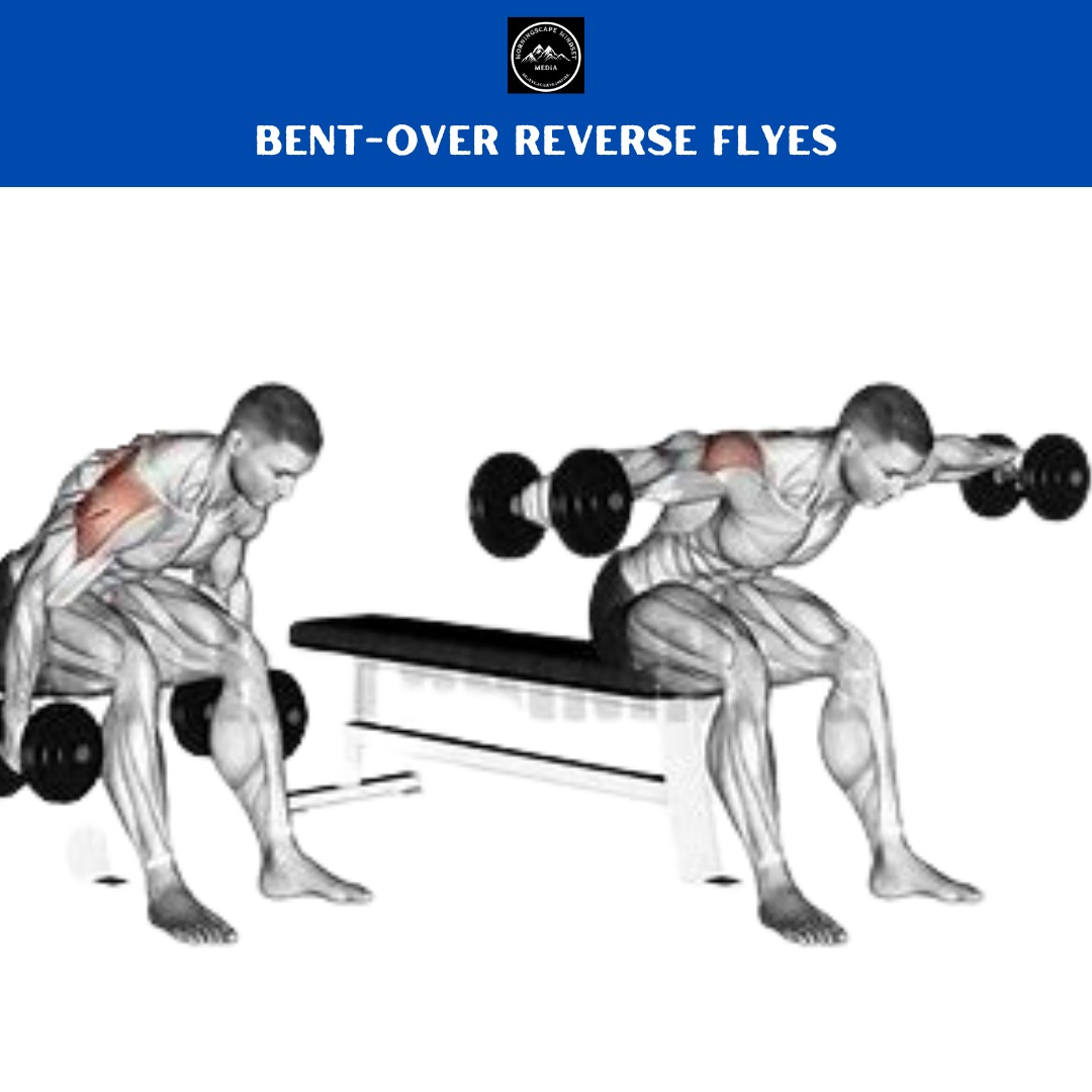 Bent-Over Reverse Flyes A person performing an bent over reverse flyes, highlighting shoulder strength and development.