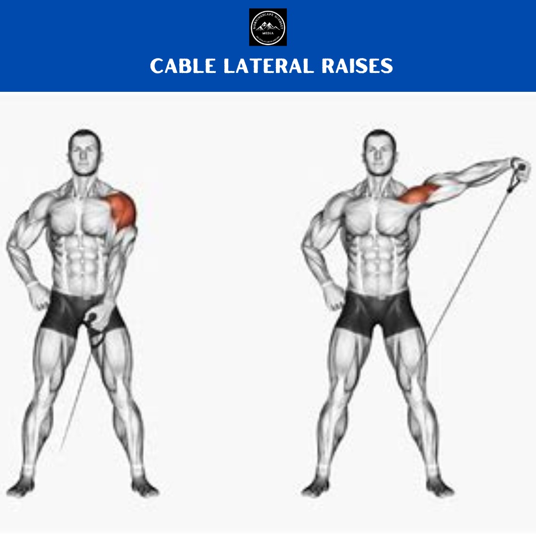 Cable lateral raises A person performing an cable lateral raises, highlighting shoulder strength and development.