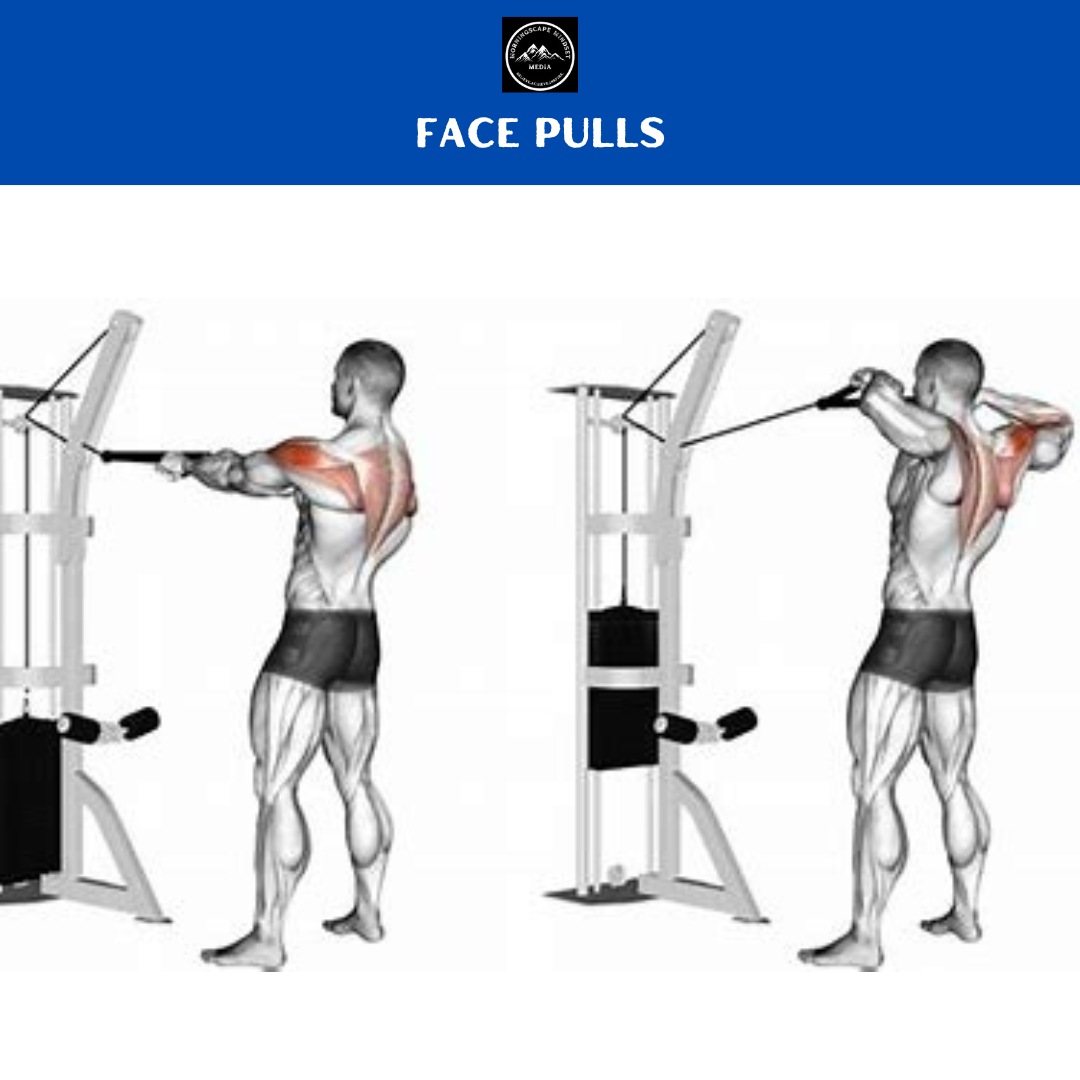 Face Pulls A person performing an face pull, highlighting shoulder strength and development.