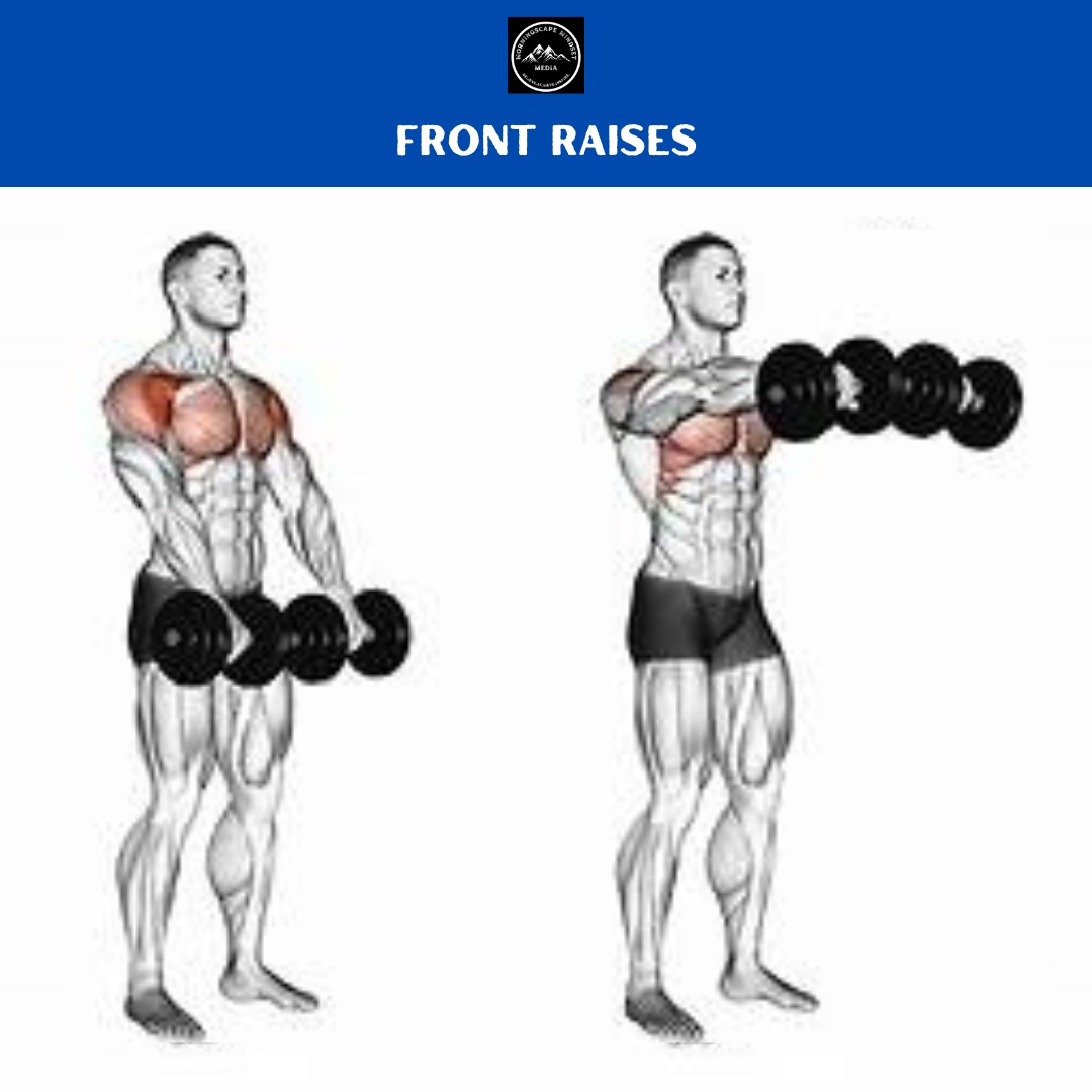 Front Raises A person performing anFront raises, highlighting shoulder strength and development.