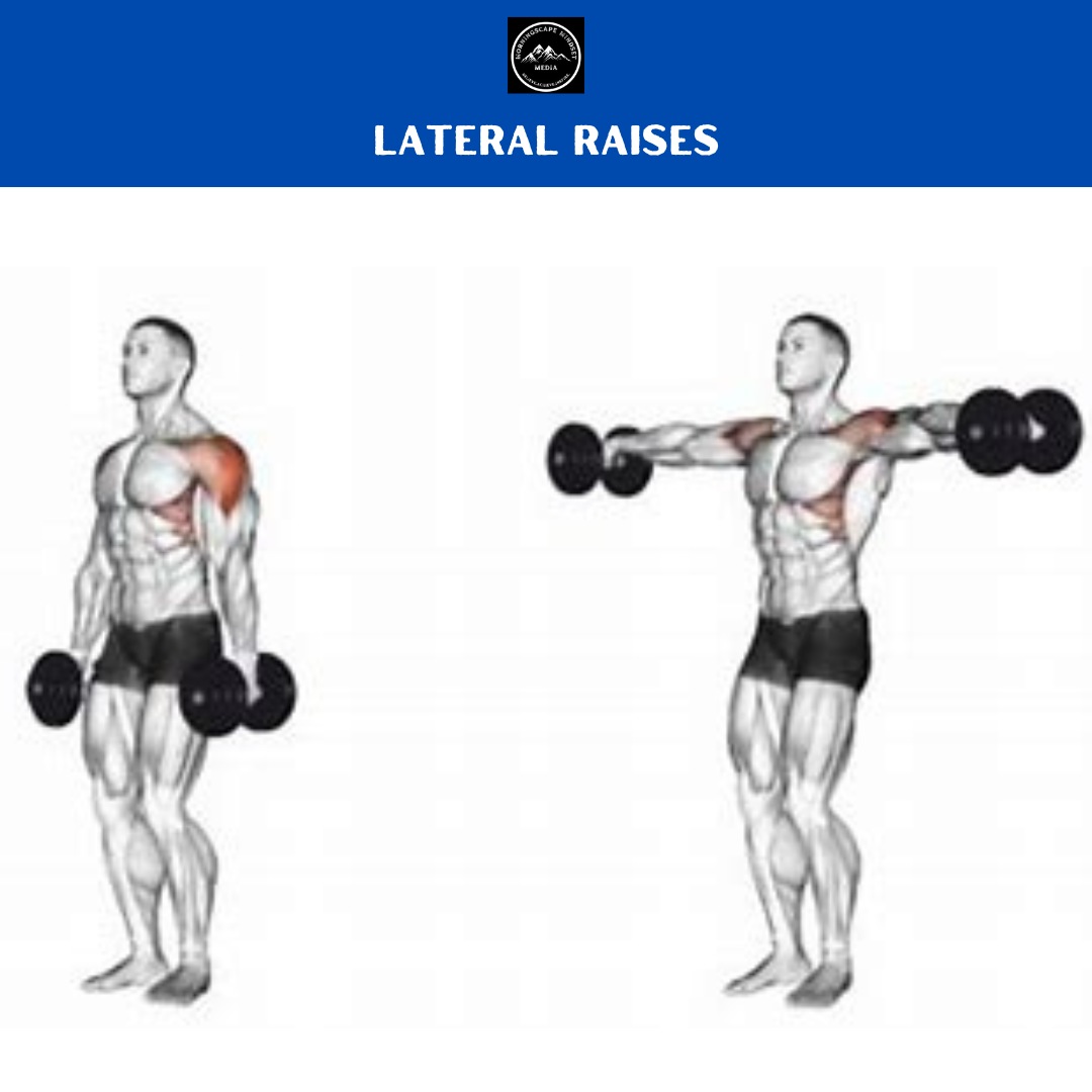 Lateral Raises A person performing an lateral raises, highlighting shoulder strength and development.