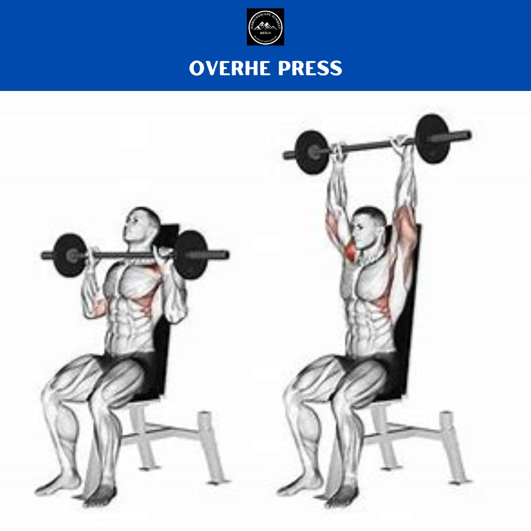 Overhead Press A person performing an overhead press, highlighting shoulder strength and development.