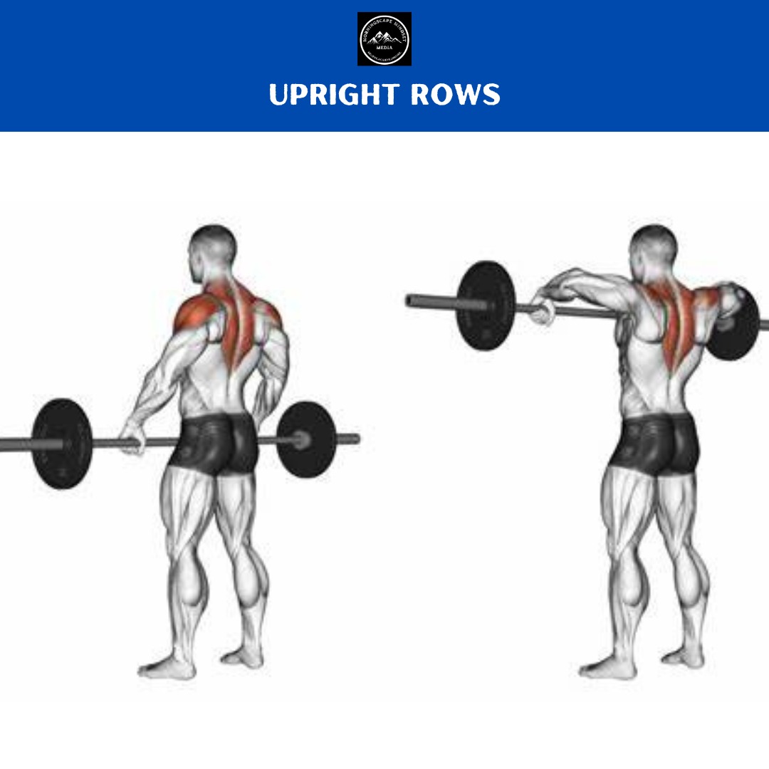 Upright Rows (5) A person performing an upright row, highlighting shoulder strength and development.