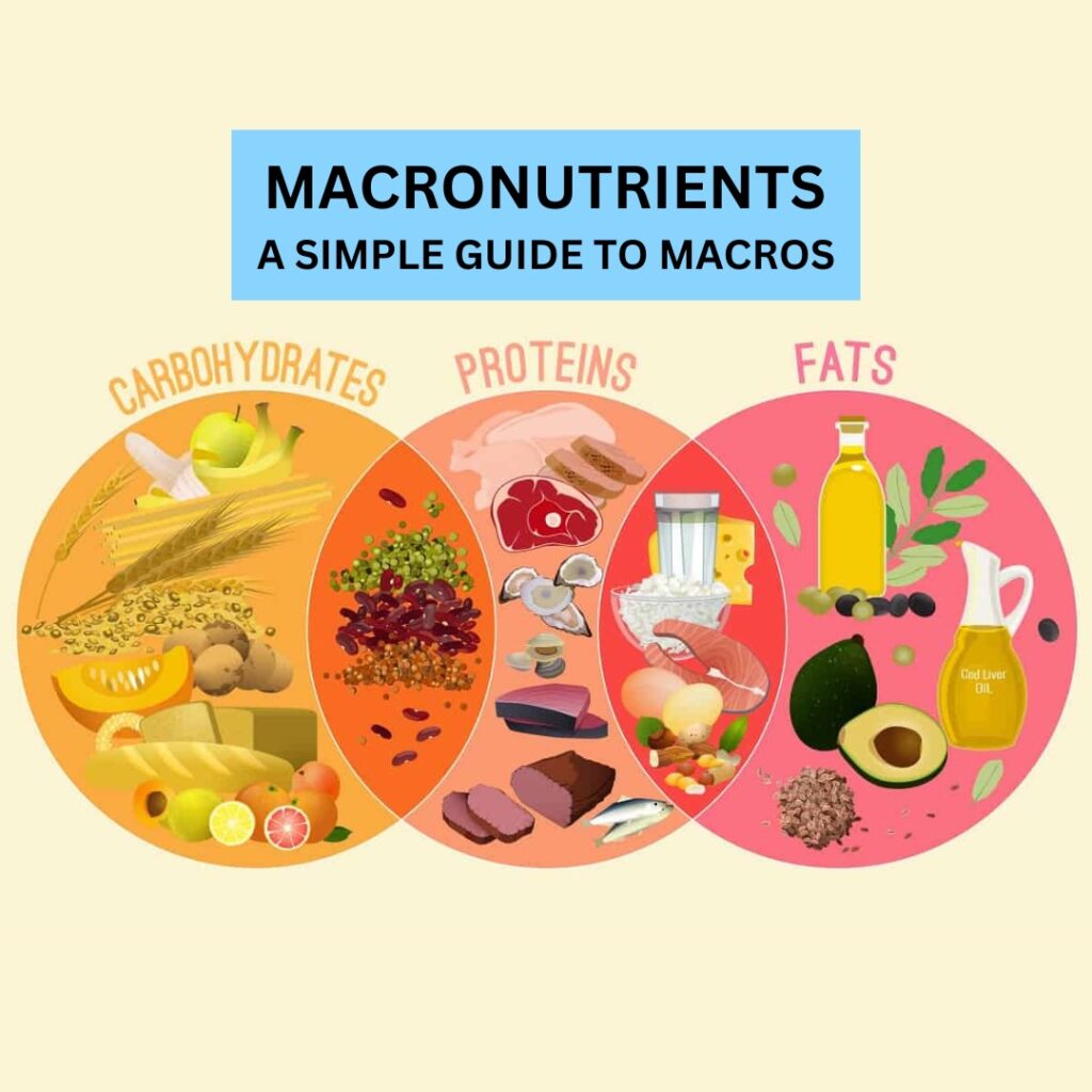 Infographic showing carbohydrate, protein, and fat sources ideal for plyometric training.