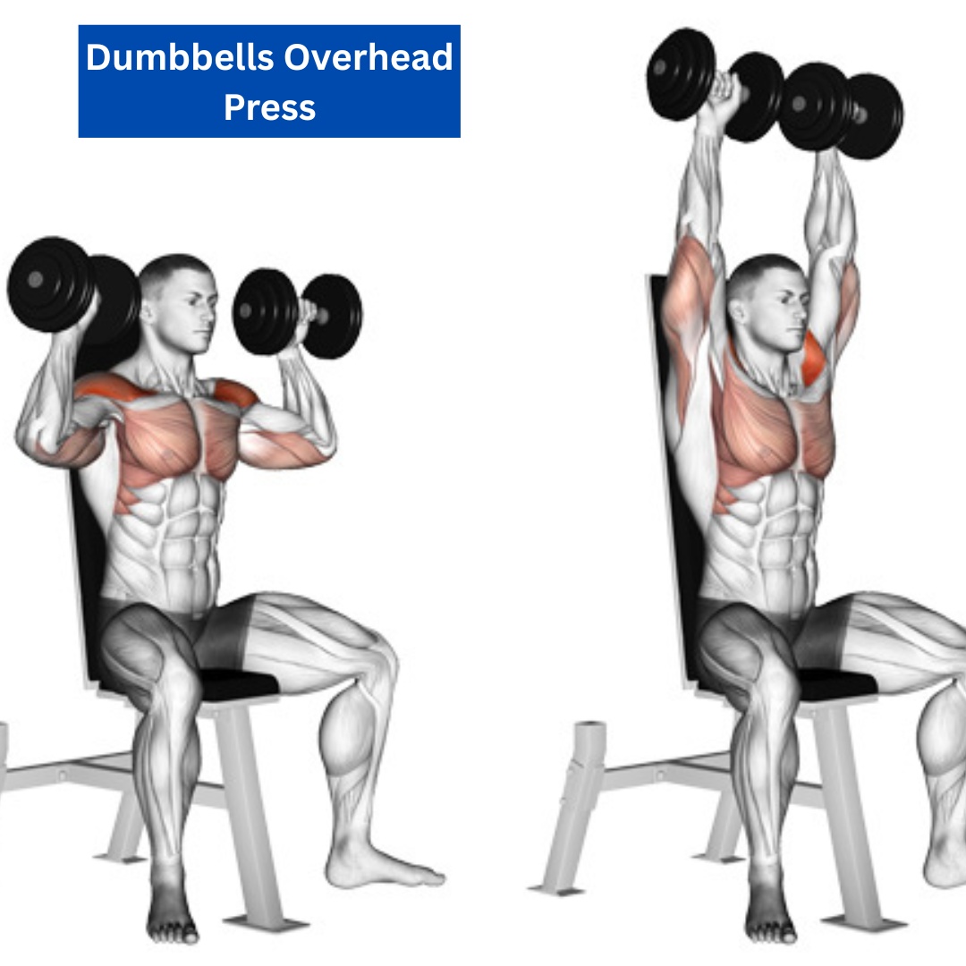 A person performing an overhead dumbbell press to strengthen the anterior and lateral deltoid muscles.