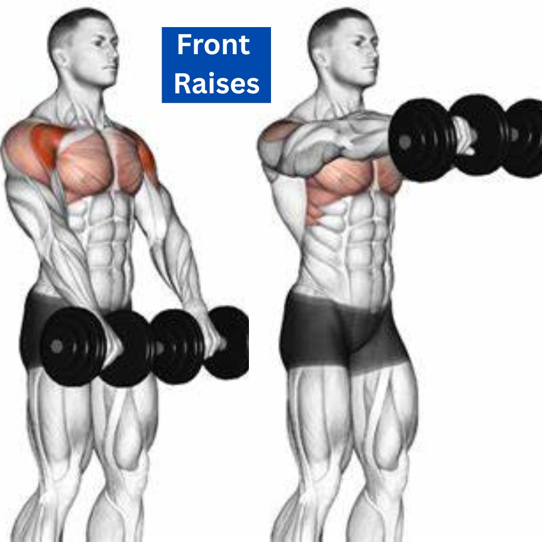 A person performing an overhead dumbbell press to strengthen the anterior and lateral deltoid muscles.