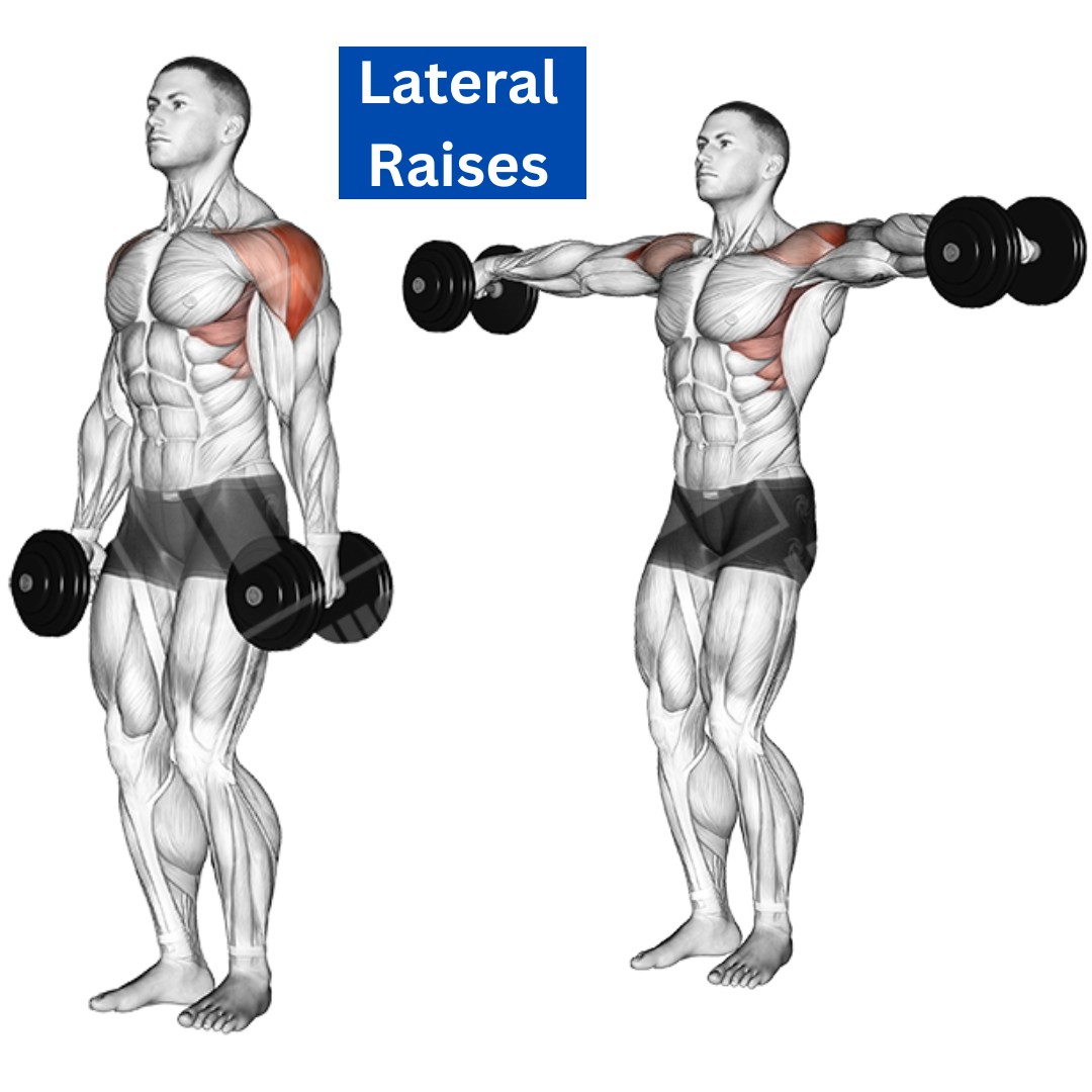 An individual executing lateral raises with dumbbells, targeting the lateral deltoids for a broader shoulder look.