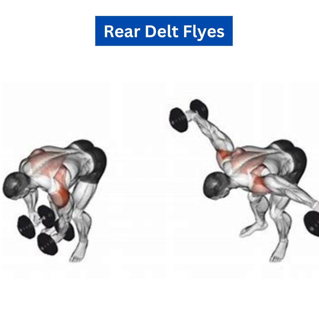 A bent-over rear delt fly movement, emphasizing posterior deltoid activation for balanced shoulder development